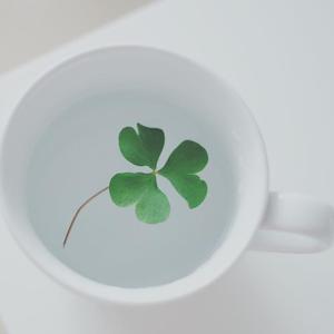 寂寞沙洲冷（治愈版）