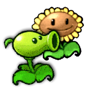 pvz