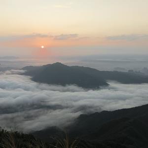 关于你的日记我终于停下笔