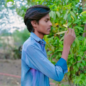 Tosu bat karugi bayela Milan nim k nic