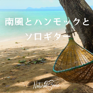 Palm Wind Reverie