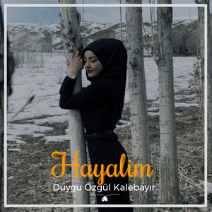 Hayalim