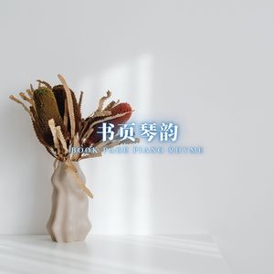 静心之梦 (精选学习音乐)