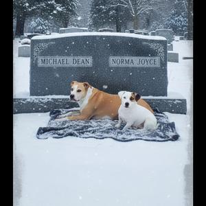Winter Storms