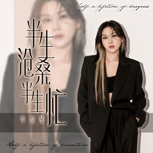 半生沧桑半生忙