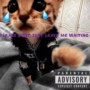 Please Don't Just Leave Me Waiting