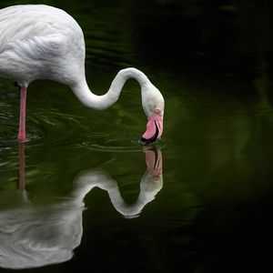 夜空中最亮的星 钢琴曲__Remix