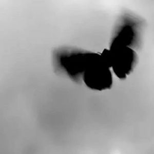 爱到最后留下的到底是什么