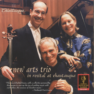 Piano Trio No. 1 in B Major, Op. 8: IV. Allegro
