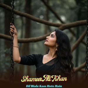 Dil Wale Kam Hote Hain