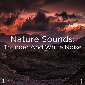 호우 잠