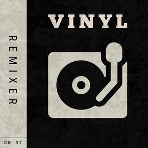 Vinyl (MaXi-P Extended Remix)