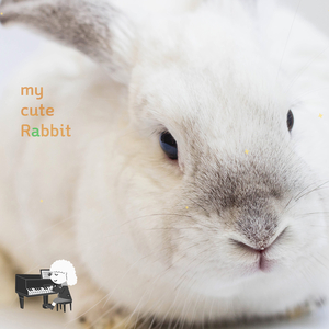 귀여운 아기 빗방울