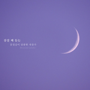 깊은 꿈속을 날아서