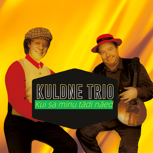 Kui sa minu tädi näed