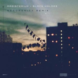 Black Haloes (Nexorenity Remix)