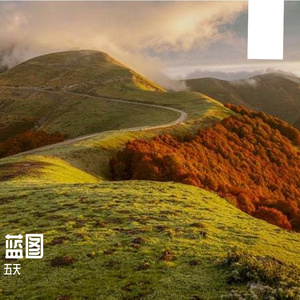 天涯海角的陪伴