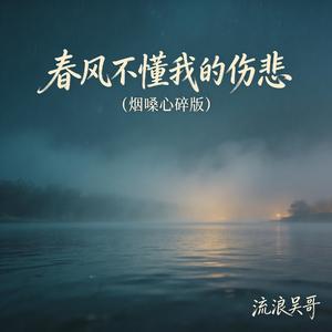 春风不懂我的伤悲(烟嗓心碎版)