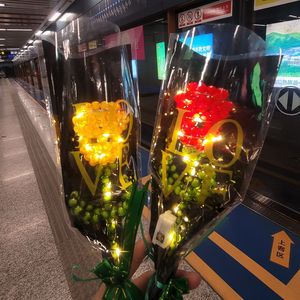 The Little King(不是小王子)