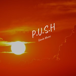 P.U.S.H