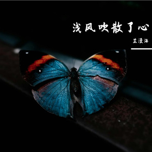 余生偷偷记