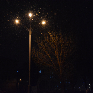 白色梦想（feat.王艺蒙）