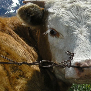 时间揭穿了多少谎言