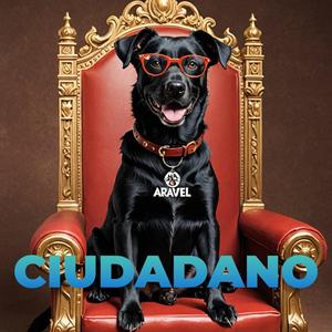 CIUDADANO