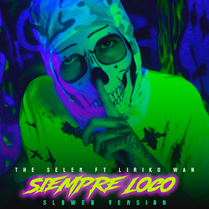Siempre Loco Slowed Version