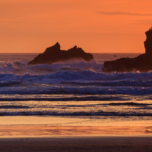 从未对你虚情假意