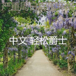 柔和的假期时刻