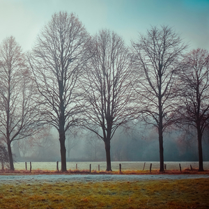 Bu Havada Gidilmez (Çift Sesi)
