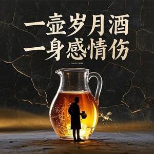 一壶岁月酒一身感情伤