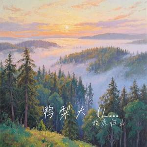 鸭梨大  (Live) (Cover 至上励合)