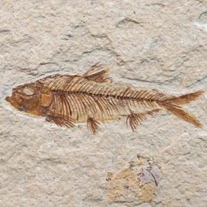 时间流逝(Prod.zboybeatbase)