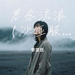 思念流浪 (李堂胜 Remix)