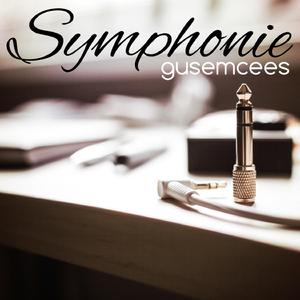 Symphonie (feat. Wowa, eckskwisit & Chris Rede)