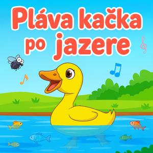 Pláva kačka po jazere