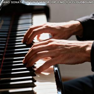 Piano Sonata No 31 in A Flat Major (III Adagio Ma Non Troppo Crimson Solace) [Op 110]