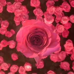 爱情进行曲（人间天宇花如雪） 伴奏