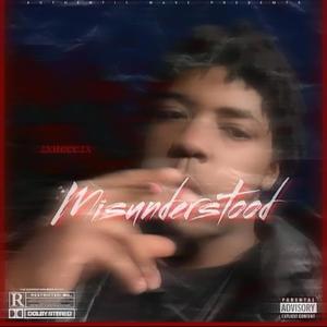 Misunderstood