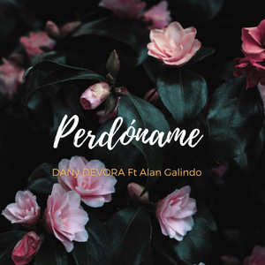 Perdoname