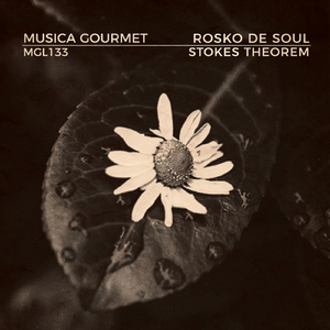 Stokes Theorem (Original Mix)