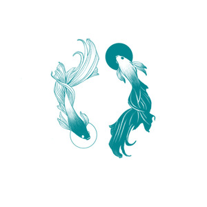 Flying on Faith (Cover)