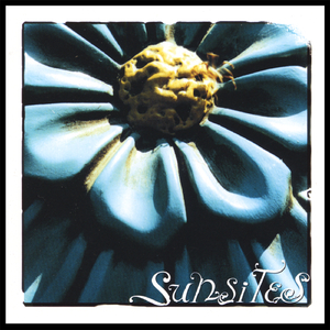 A Brook Beside the Way