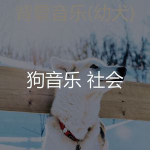 服从-睡狗