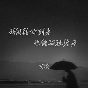 我能陪你到老也能孤独终老 (伴奏)