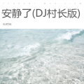 安静了 (DJ村长 remix)