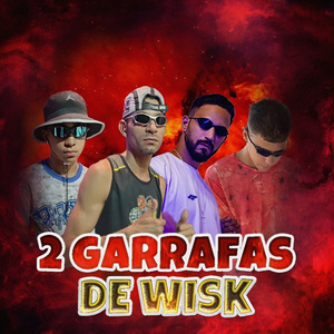 2 GARRAFAS DE WISK