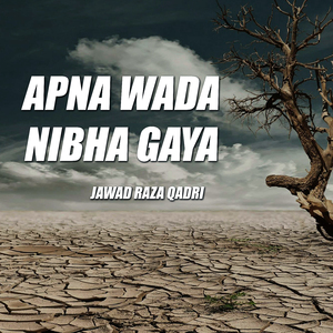 APNA WADA NIBHA GAYA